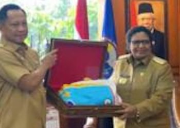 Mendagri Resmi Terima Logo Papua Tengah