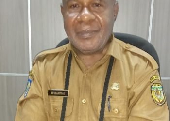 Penyumbang Malaria Tertinggi Se- Indonesia, Kemenkes Tetapkan Mimika Sebagai Lokus Pembuatan Standard Slide Malaria