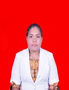 dr Herlina M W Soumilena(Foto.Ist/Koranpapua.id)