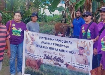 Warga Muslim Flobamora Terima Satu Ekor Sapi Kurban dari Pemkab Mimika