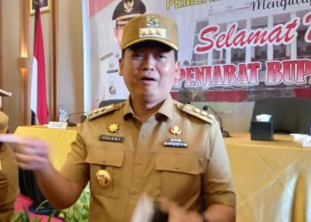 Pj. Bupati Mimika Valentinus S. Sumito(Foto:Dokumentasi/Koranpapua.id)