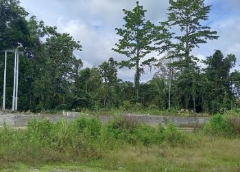 lokasi dari Bundaran Petrosea yang akan dibuka jalan menuju Jalan Baru Terminal Bandara Mozes Kilangin sisi Selatan, Kamis 10 Agustus 2023. (Foto: Redaksi/Koranpapua.id)