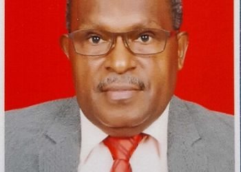 Implementasi Permendagri Nomor 3 Tahun 2017 Kurang Dilaksanakan Badan Publik Pemerintah di Papua 