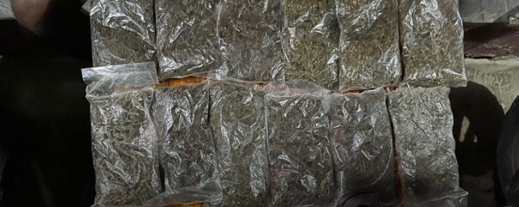 Tiga Pengedar Dibekuk, Polisi Amankan 16 Bungkus Ganja Siap Edar