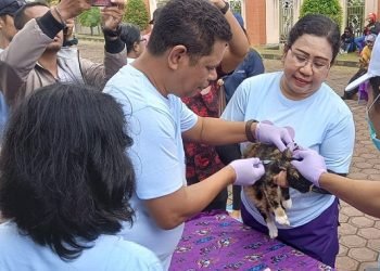 Puluhan Ekor Anjing dan Kucing Kesayangan Warga Mimika Divaksinasi Rabies