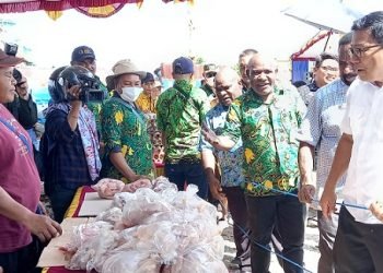 Kepala Badan Pangan Nasional Arief Prasetyo Adi didampingi Willem Naa, Asisten 2 Setda Mimika dan Yulius Koga, Kepala Dinas Ketahanan Pangan Mimika mengunjungi stand penjualan daging ayam beku, Kamis 23 November 2023. (Foto : Redaksi/Koranpapua.id)