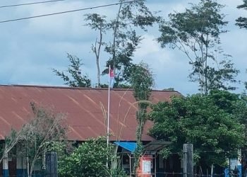 Bendera Bintang Kejora Sempat Berkibar di Wamena