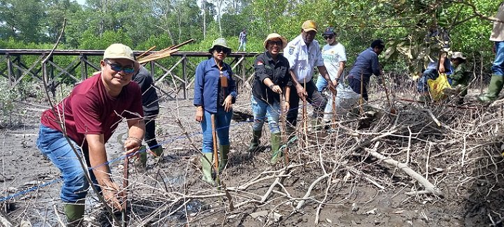 DLH Mimika Tanam 250 Bibit Mangrove dan Bagikan 14 Bak Sampah untuk Rumah Layak Huni di Pomako