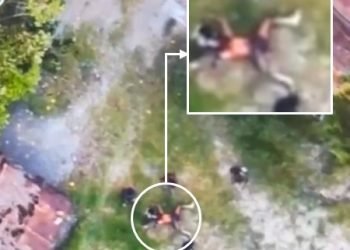 Pasukan Gabungan TNI-Polri Tembak Mati Lima Anggota KKB Intan Jaya