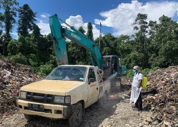 Disnak-Keswan Pindahkan Lokasi Penguburan Babi ke TPA Iwaka, Hari Pertama 90 Ekor