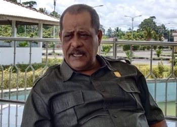 Soal Laporan Ifo Rahabav ke DKPP, Saleh Alhamid Sayangkan Cantumkan Nama Partai Hanura Tanpa Ijin