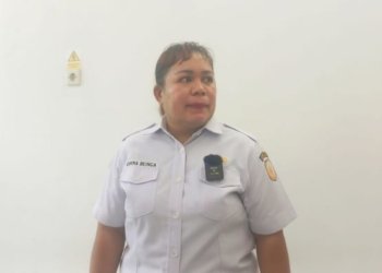 Puskesmas Mapurujaya Tangani 20 Kasus Demam Berdarah