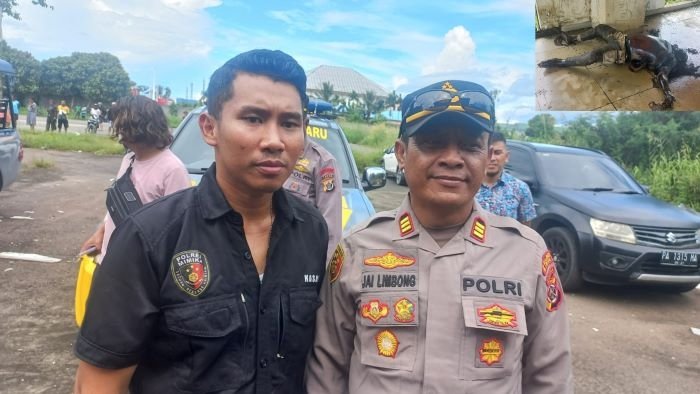 Mayat yang Ditemukan di Gedung Perpustakaan Timika Indah Bernama Nelson Pakage