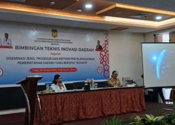 Indeks Inovasi Mimika Menempati Urutan 391 dari 415 Kabupaten dan Kota di Indonesia