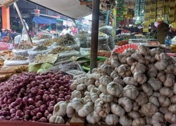 Stok Terbatas, Harga Bawang Merah di Pasar Sentral Tembus Rp80 Ribu Per Kilogram