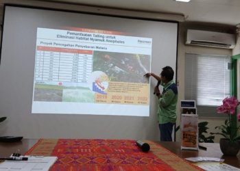 Gunakan Pasir Tailing, Cara Sederhana Kendalikan Jentik Nyamuk Anopheles Penyebar Malaria