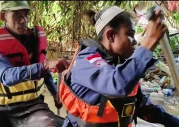 Bau Menyengat, Tim Relawan Mimika Temukan Enam Bangkai Babi di Sepanjang Sungai Pasar Minggu