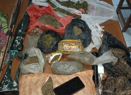 Tiga Kilo Gram Ganja Kering dari PNG Gagal Diselundupkan
