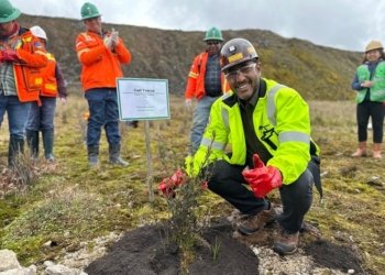 Sambut Hari Lingkungan Hidup Sedunia 2024, Freeport Bersama Pemkab Mimika Lakukan Penghijauan di Grasberg