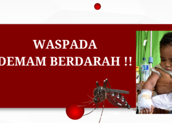 Sampai Pertengahan Mei 2024, DBD di Mimika Capai 979 Kasus