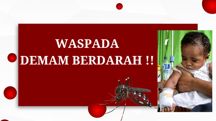 Sampai Pertengahan Mei 2024, DBD di Mimika Capai 979 Kasus