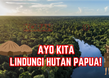 Hutan Adat di Merauke Seluas Jakarta Akan Dibabat Investor Malaysia untuk Perkebunan Kelapa Sawit