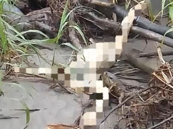 Warga Aparuka Kokonau Temukan Jenasah Tanpa Identitas