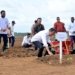 Presiden Joko Widodo Tanam Tebu Perdana di Merauke