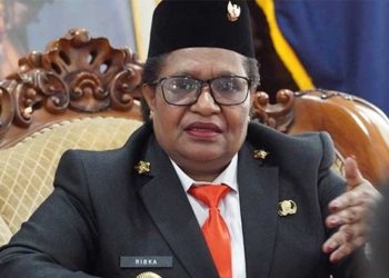 Provinsi Papua Tengah Buka 950 Formasi CASN 2024, Ini Rincian Formasinya