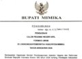 Pemkab Mimika Resmi Buka Pendaftaran 847 Formasi CPNS 2024, Berikut Persyaratannya