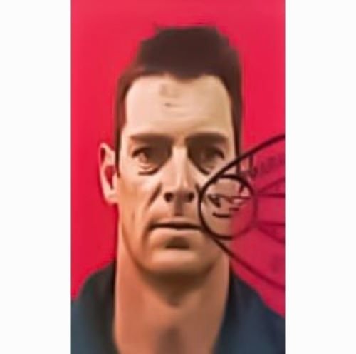 Pilot Helikopter Asal Selandia Baru Tewas Ditembak KKB di Distrik Alama