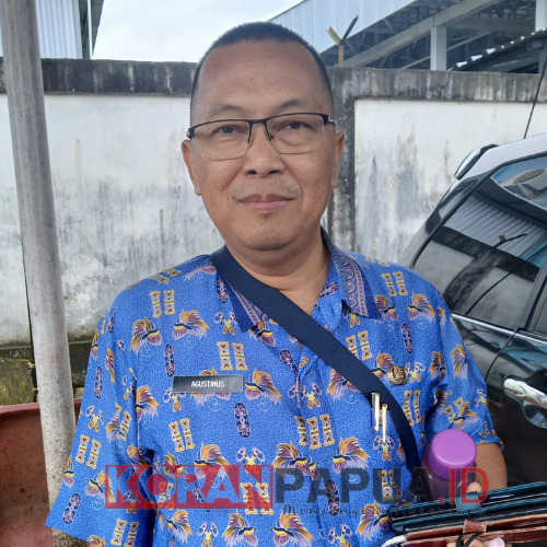 Peternak Lokal Jangan Kuatir, Setiap Bulan 17 Ton Ayam Potong Timika Masuk Pangan Sari