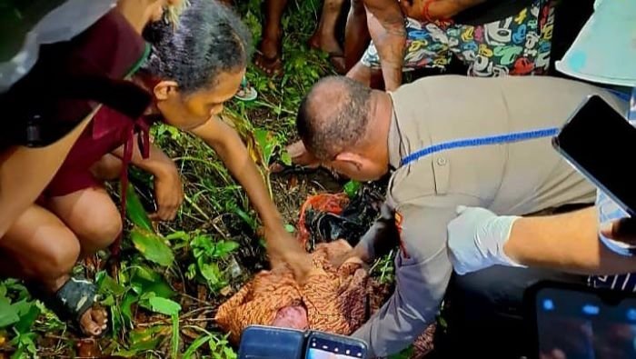 Mengharukan! Bayi yang Dibuang di Semak-Semak Kemungkinan Baru Dilahirkan, Sekarang Dirawat di RSUD