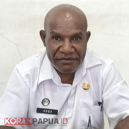 Dinas Ketahanan Pangan Mimika Siapkan 40 Ekor Babi untuk Pasar Murah