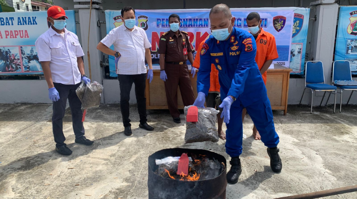 Polda Papua Musnahkan 6.159,37 Gram Ganja dengan Cara Dibakar