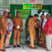 Dinas Kesehatan Mimika Resmi Luncurkan Program Cek Kesehatan Gratis Kado Ulang Tahun dari Negara untuk Masyarakat