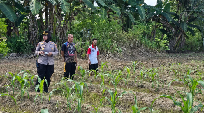 Rekrutmen Anggota Polri 2025, Polres Mimika Gandeng Disperindag Tera dan Kalibrasi Alat Ukur Tinggi Badan