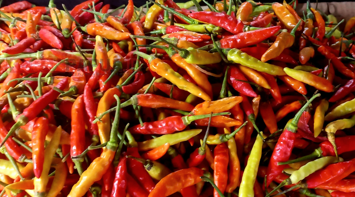 Empat Hari Setelah Lebaran, Harga Cabai Rawit di Pasar Sentral Timika Tembus Rp140 Ribu Per Kilogram