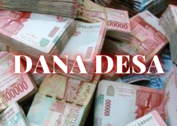 Kemenkeu Tetapkan Dana Desa 2025 untuk Papua Tengah, Puncak Jaya Terbesar Rp275.517.473.000