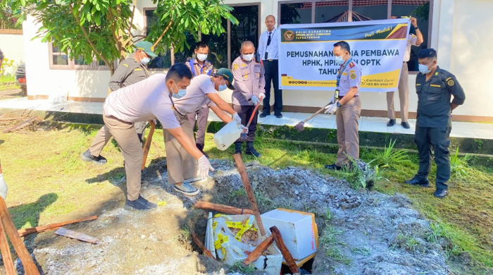 Puluhan Kilogram Daging Babi Tanpa Dokumen yang Disita dari Penumpang Kapal di Pelabuhan Poumako Dimusnahkan