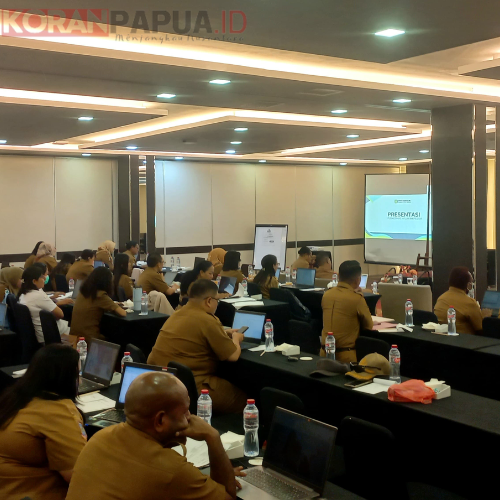 Dinkes Mimika Evaluasi Program dan Anggaran 2025, Realisasi BOK Capai 30 Persen, Pelaksanaan Program 50 Persen