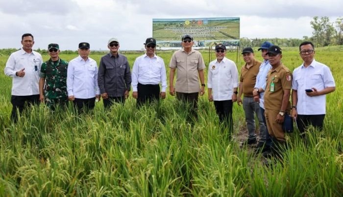 Wanam Ditetapkan Jadi Proyek Strategis Nasional, Pusat Cadangan Pangan 1 Juta Hektare