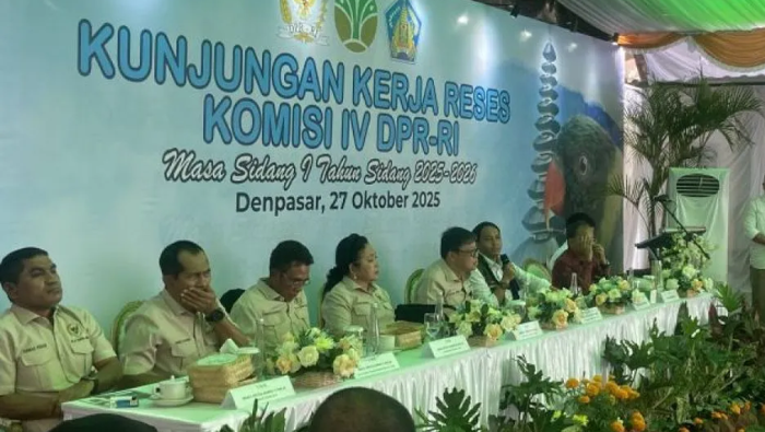 Pembakaran Mahkota Cenderawasih, Menhut Raja Juli Antoni Minta Maaf ke Masyarakat Papua