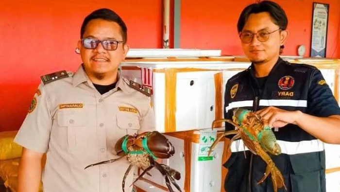 2.580 Ekor Karaka Asal Timika Dikirim ke Singapura Melalui Bandara Mozes Kilangin