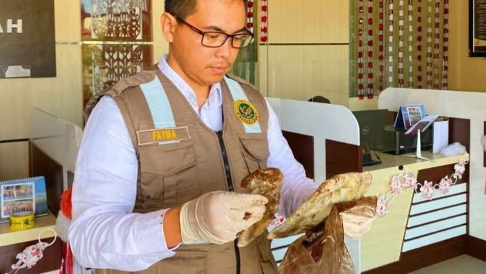 60 Kg Gelembung Ikan Tujuan Surabaya Jalani Pemeriksaan di Bandara Mozes Kilangin Timika