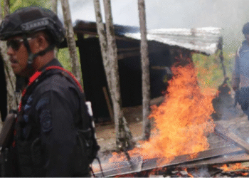 Kapolda: Mimika Sudah Menjadi Kota, Tradisi Balas Dendam Harus Dirubah, Polisi Bongkar Tenda di Kwamki Narama