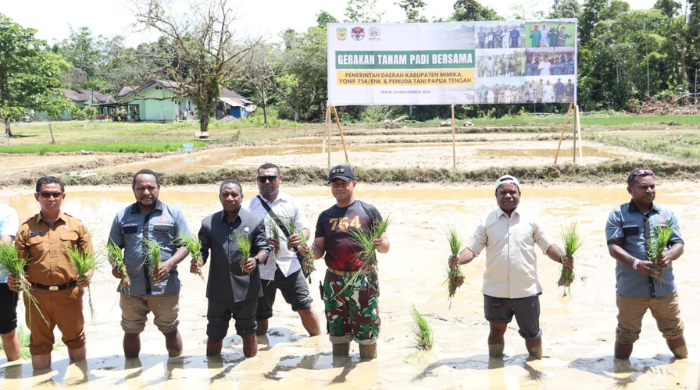 Yonif 754 Kostrad Tanam Padi, Dukung Program Swasembada Pangan, Ketua DPRD Mimika Sampaikan Apresiasi