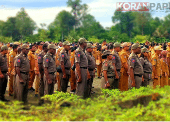 DPMPTSP dan Diskominfo Jadi Rebutan, Terbanyak Diincar Calon Pejabat di Mimika