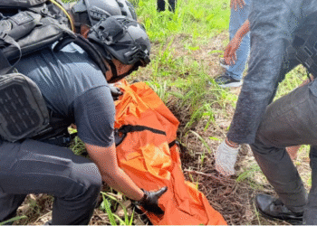 Buntut Tewasnya Pekerja Bangunan yang Diduga Dibacok KKB, Polisi Minta Keterangan Tiga Warga OAP