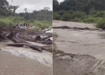 Diterjang Kayu Gelondongan, Jembatan Sungai Pas Ambruk, Banjir Bandang Meluber ke Pemuliman Warga